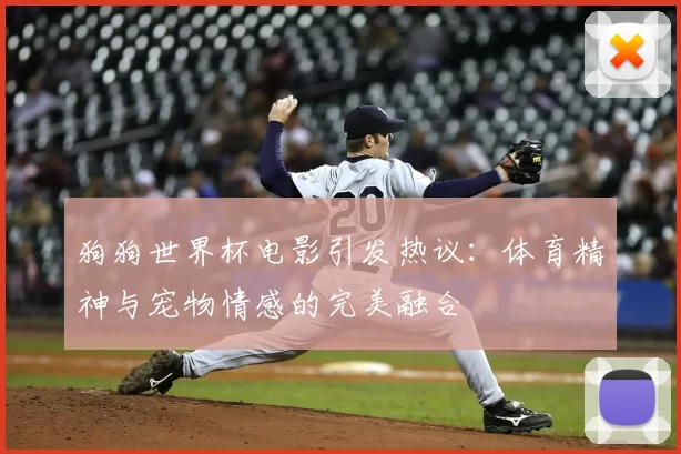 狗狗世界杯电影引发热议:体育精神与宠物情感的完美融合