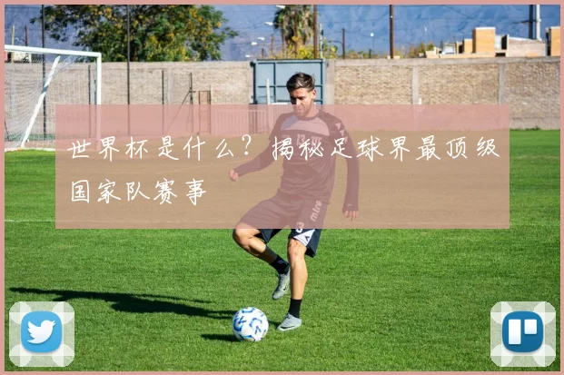 世界杯是什么？揭秘足球界最顶级国家队赛事