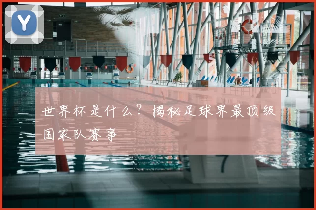 世界杯是什么？揭秘足球界最顶级国家队赛事