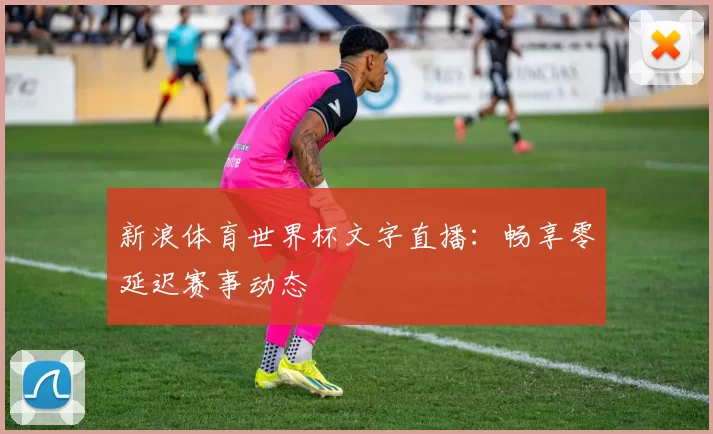 新浪体育世界杯文字直播:畅享零延迟赛事动态
