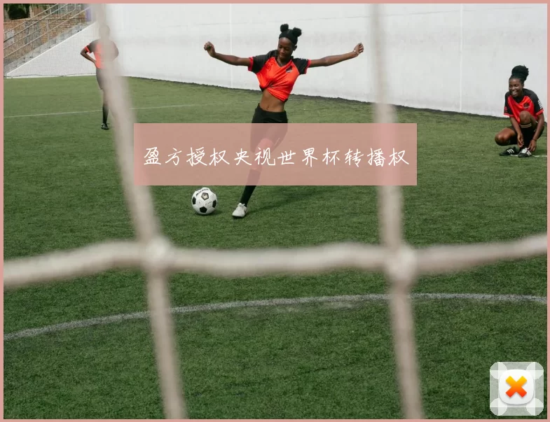 盈方授权央视世界杯转播权