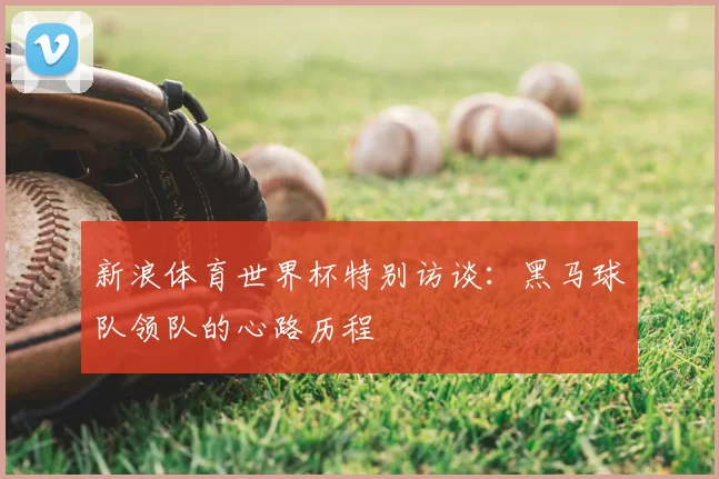 新浪体育世界杯特别访谈:黑马球队领队的心路历程