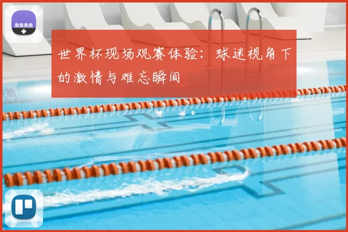 世界杯现场观赛体验:球迷视角下的激情与难忘瞬间
