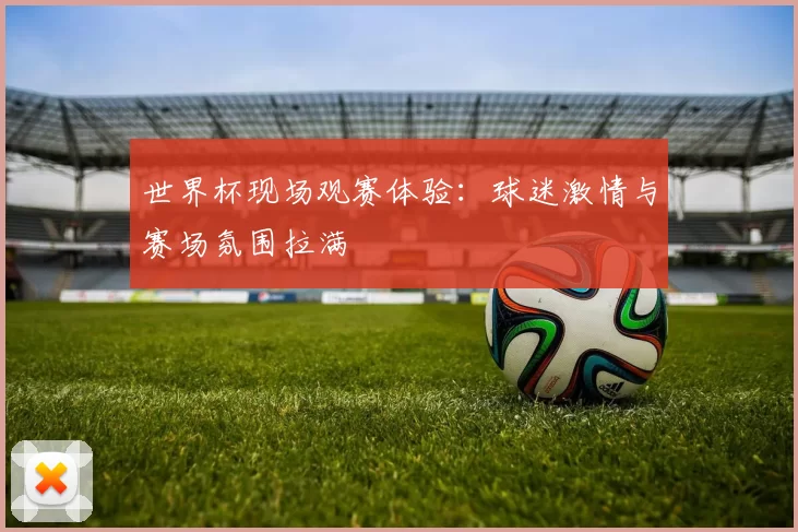 世界杯现场观赛体验:球迷激情与赛场氛围拉满