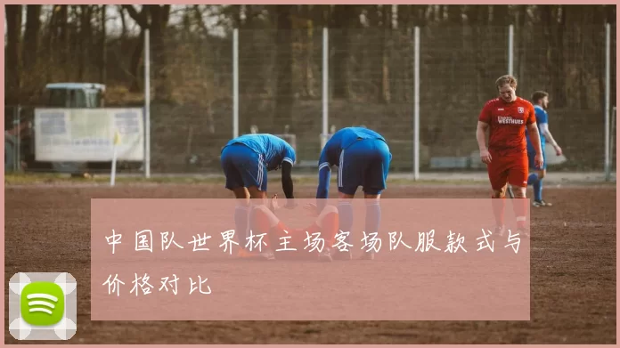 中国队世界杯主场客场队服款式与价格对比