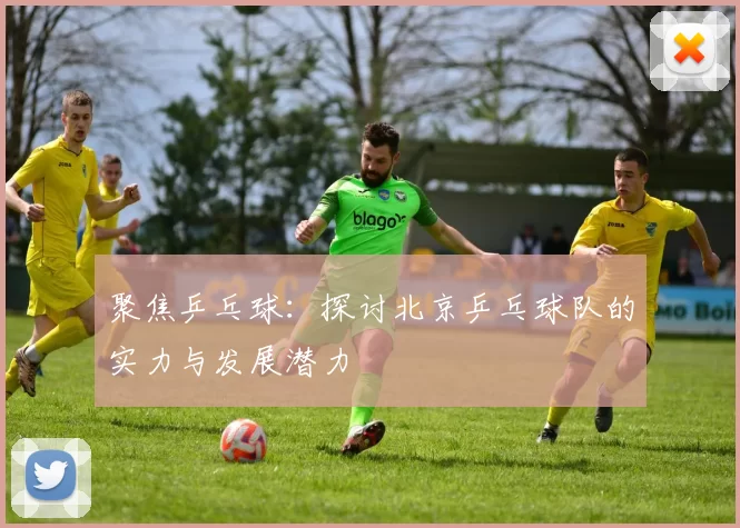 聚焦乒乓球：探讨北京乒乓球队的实力与发展潜力