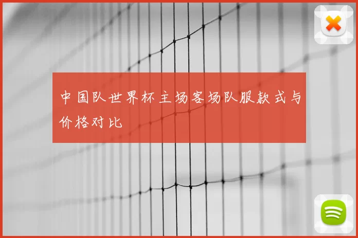 中国队世界杯主场客场队服款式与价格对比