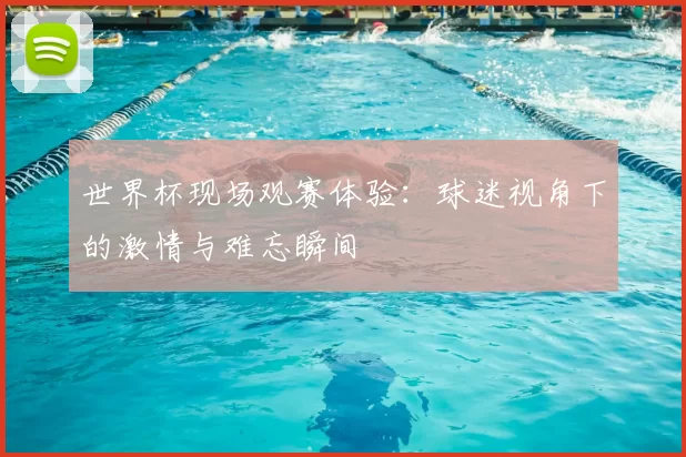 世界杯现场观赛体验:球迷视角下的激情与难忘瞬间